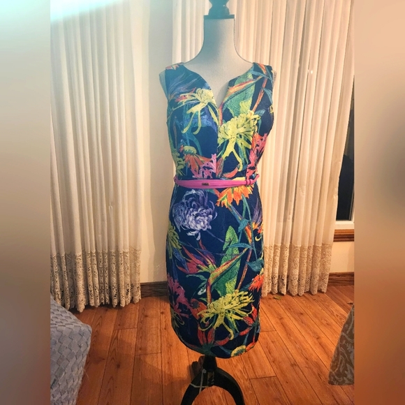 Gently worn lined dress - Picture 1 of 4